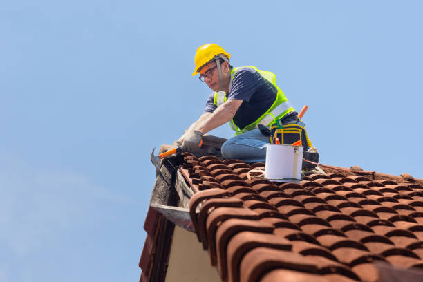 Best Roof Moss and Algae Removal  in Detroit Lakes, MN